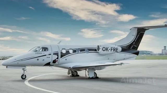 Phenom 100